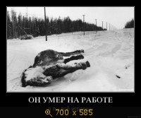 Он умер на работе, а ты всё играешь...