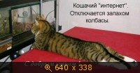 С добрым утром!