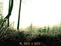 зима 81