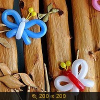 Мастер класс бабочка из шара Мастер класс бабочка из шара