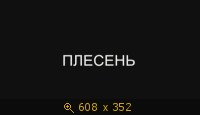 Н/п фильм Плесень