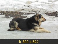 Масленица Константиново