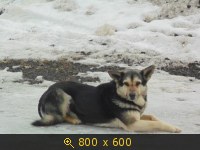 Масленица Константиново