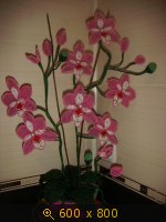 http://4put.ru/pictures/small/561/1726083.jpg