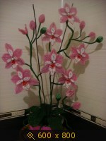 http://4put.ru/pictures/small/561/1726086.jpg