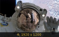 1770605.jpg
