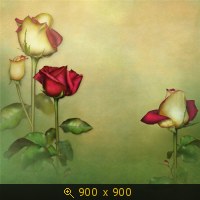 бумага_01_09