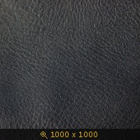 кожа 02-13