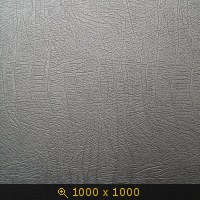 кожа 02-18