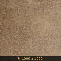 кожа 02-20