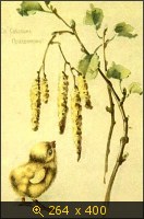 Пасха 02-3