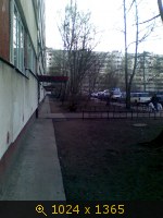 СПб двор
