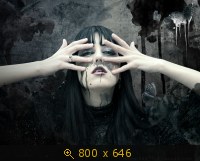 Rohwedder 012