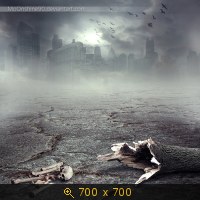 Rohwedder 021