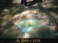 Образование, Россия, Лицей 35, картинка 1972683.jpg