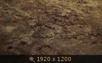 грунты 1
