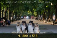 Животные, Украина, картинка 2040224.jpg