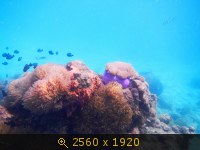 2070795.jpg