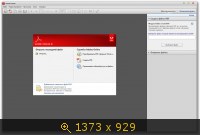 Adobe Reader X 10.1.7 Final (2013) Русский
