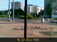 СПб (5)