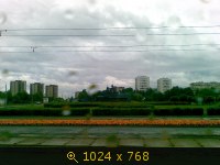 СПб (1)