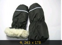 Краги, картинка 2178827.jpg