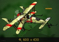 2233944.jpg