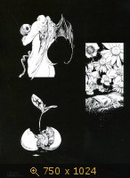 Ayami Kojima - Art Works Santa Lilio Sangre 7-2