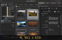 ACDSee Pro 7 v7.0 Build 137 Final (2013) Русский