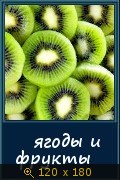 0460