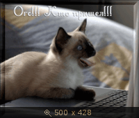 232671.gif