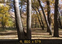 Подготовительный класс для начинающих фотографов. Староста Jefry.