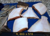 Рыбочистка Kerle Koch КК-25 (СП, Москва и МО)