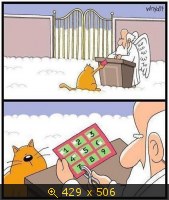 Девять кошачьих жизней