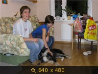 Приветы из дома от пристроенных собак - Страница 11 236775