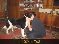 Приветы из дома от пристроенных собак - Страница 11 237494