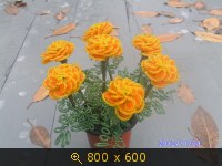 Украина, картинка 2408052.jpg