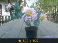 Украина, картинка 2408073.jpg