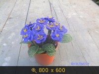 Украина, картинка 2408082.jpg