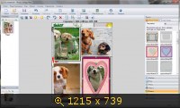Photo Collage Max 2.2.4.6 (2013) Русский