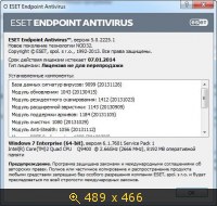 ESET Endpoint Antivirus 5.0.2225.1 (2013) Русский