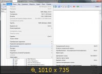 EmEditor Professional 14.0.1 Final (2013) Русский