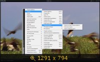 The KMPlayer 3.8.0.117 (2014) Русский
