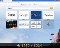 Opera Developer 20.0.1376.0 (2014) Русский