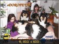 Животные, Украина, картинка 2591403.jpg