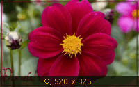 Для тебя 13-3