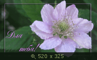 Для тебя 13-6