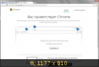 Google Chrome 33.0.1750.152 Stable (2014) Русский