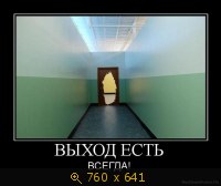 272950.jpg