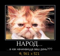 Утро